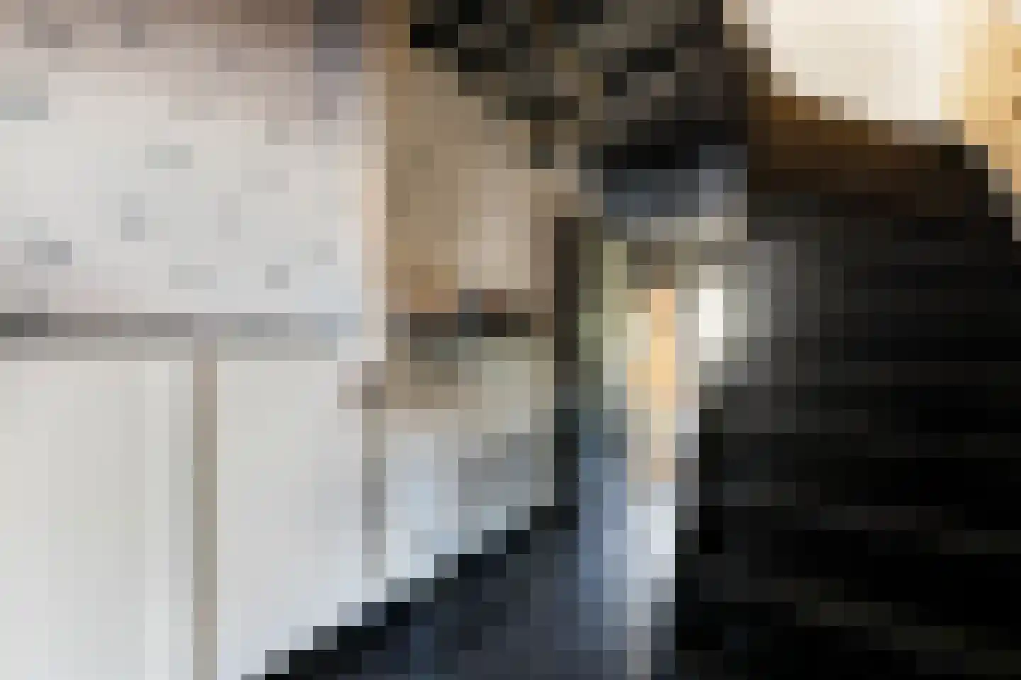 Schans 12 Beverwijk thumbnail 8