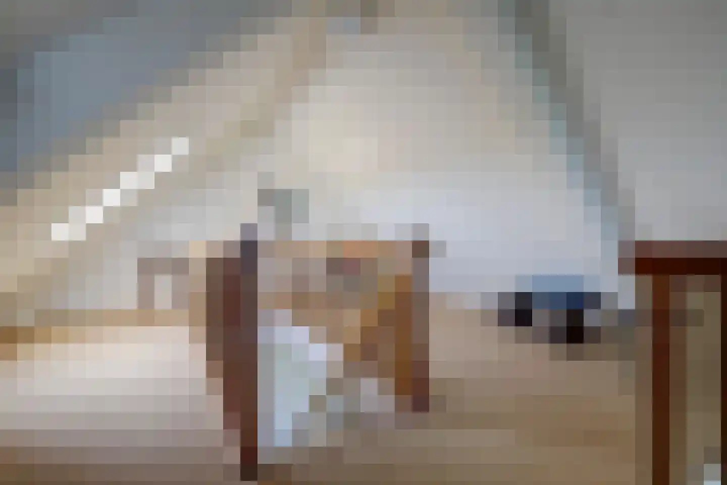 Schans 12 G Arcen thumbnail 28