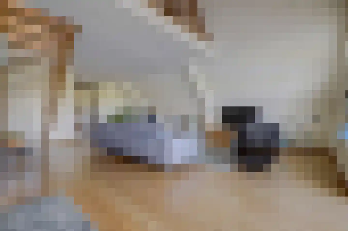 Schans 12 G Arcen thumbnail 9