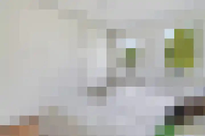 Schans 12 Oost-Souburg thumbnail 13