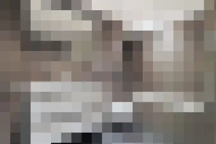 Schans 12 Oost-Souburg thumbnail 15
