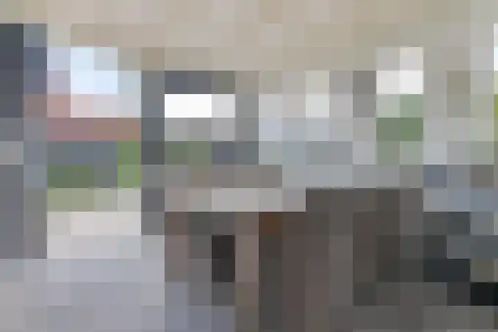 Schans 12 Oost-Souburg thumbnail 29