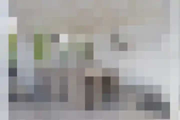 Schans 12 Oost-Souburg thumbnail 30