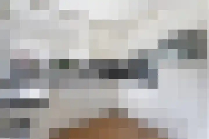 Schans 12 Oost-Souburg thumbnail 8