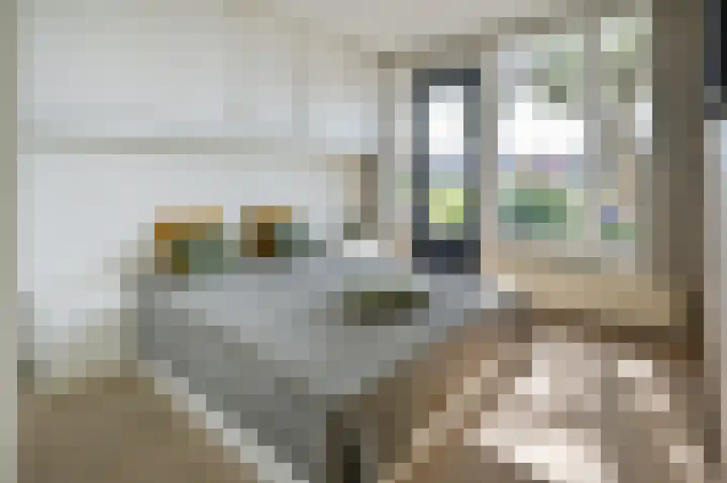 Schans 126 Uithoorn thumbnail 11