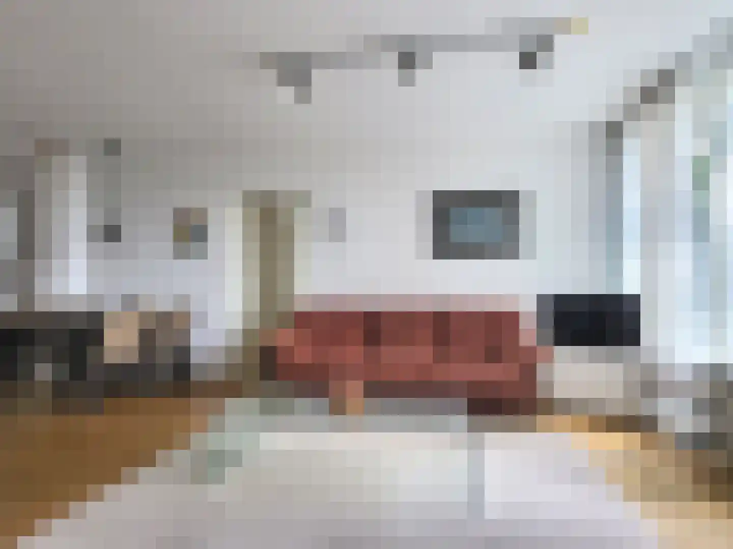 Schans 134 Uithoorn thumbnail 9