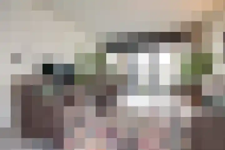 Schans 137 Dronten thumbnail 12