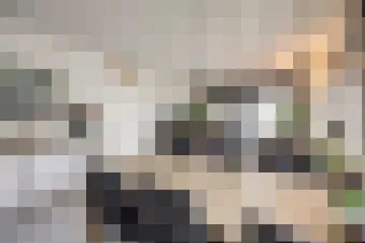 Schans 137 Dronten thumbnail 18