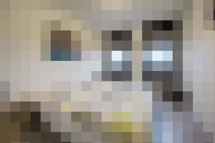 Schans 137 Dronten thumbnail 26