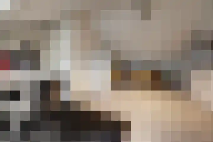 Schans 137 Dronten thumbnail 34