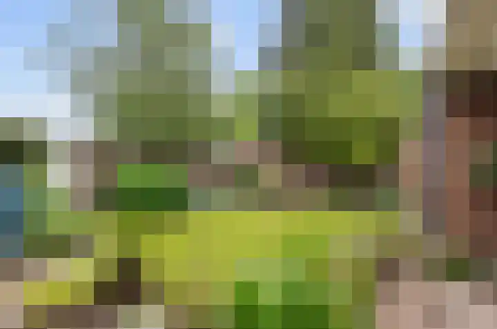 Schans 14 Huissen thumbnail 10