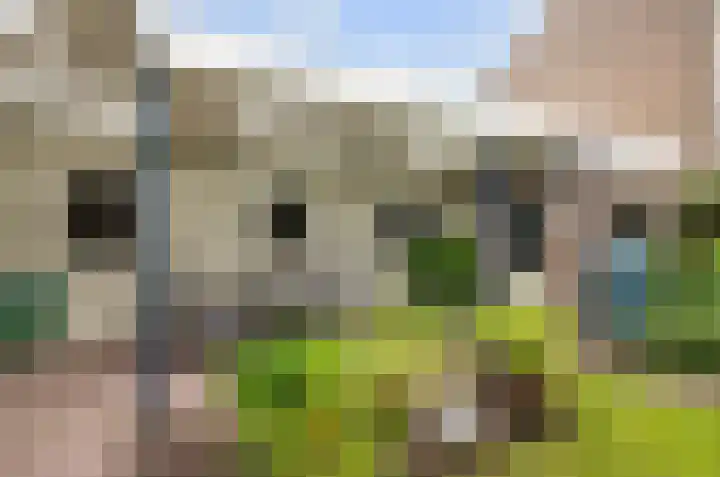 Schans 14 Huissen thumbnail 13