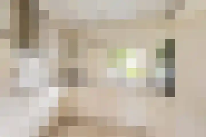 Schans 14 Huissen thumbnail 17