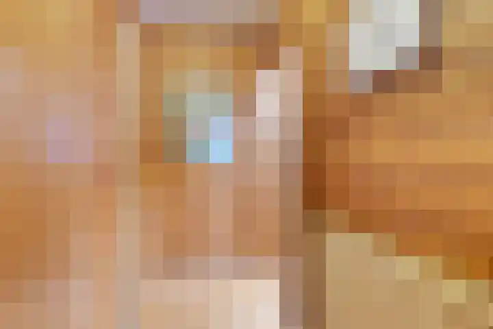 Schans 14 Huissen thumbnail 18