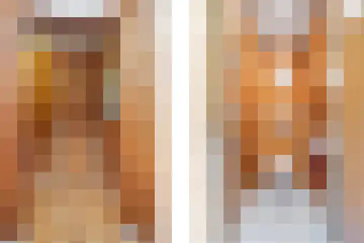 Schans 14 Huissen thumbnail 21
