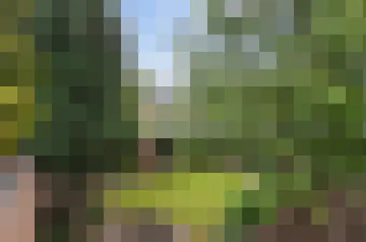Schans 14 Huissen thumbnail 28