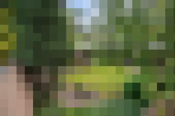 Schans 14 Huissen thumbnail 4