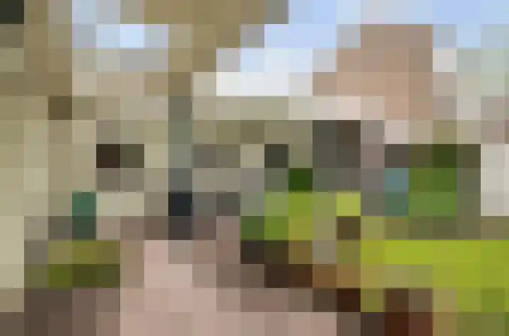 Schans 14 Huissen thumbnail 9
