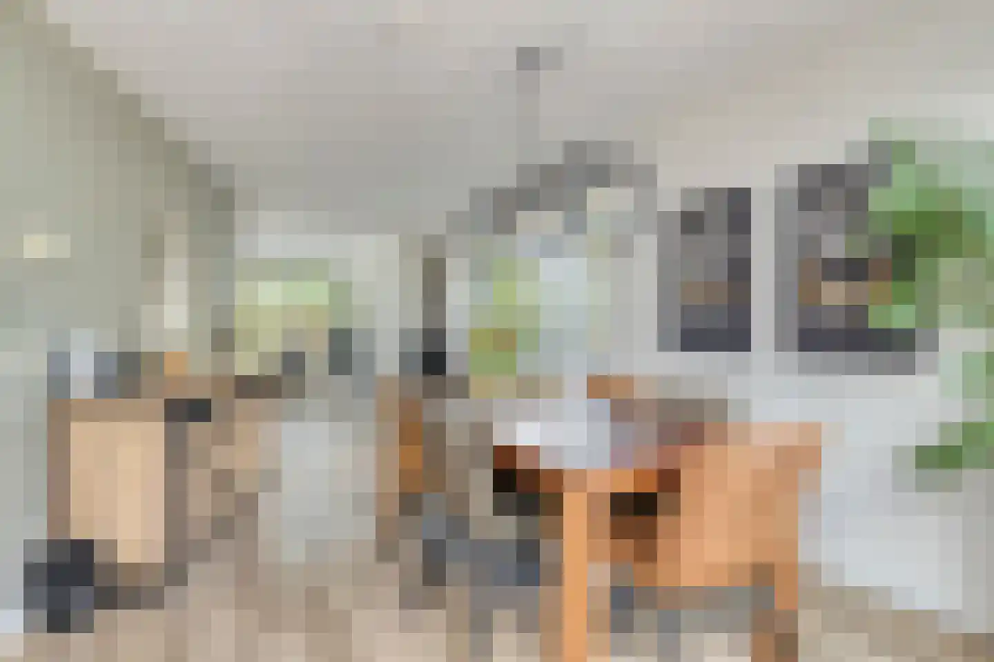 Schans 14 Veldhoven thumbnail 10