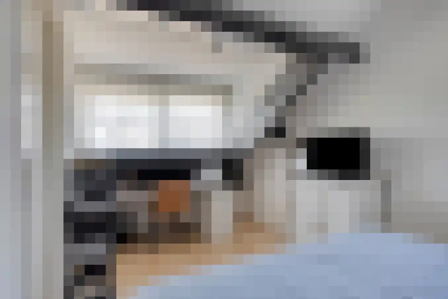 Schans 14 Veldhoven thumbnail 35