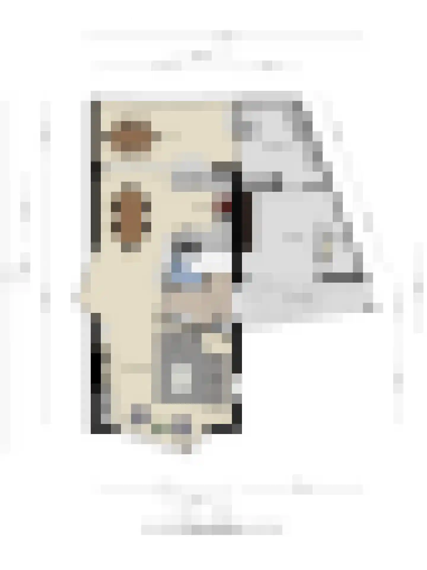 Schans 14 Veldhoven thumbnail 50