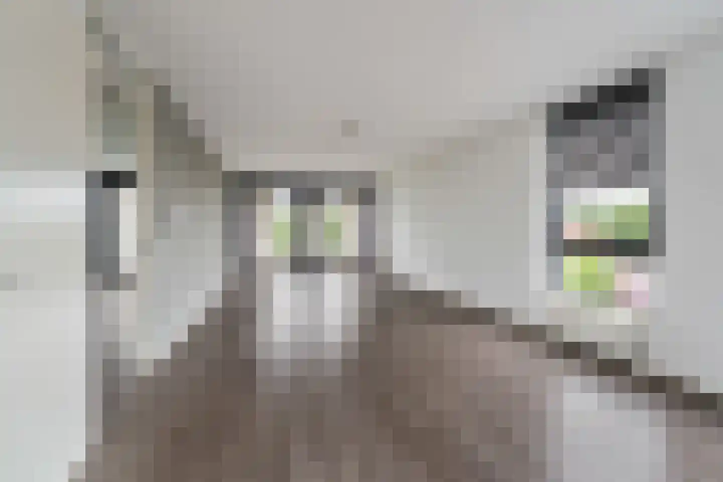 Schans 141 Dronten thumbnail 14
