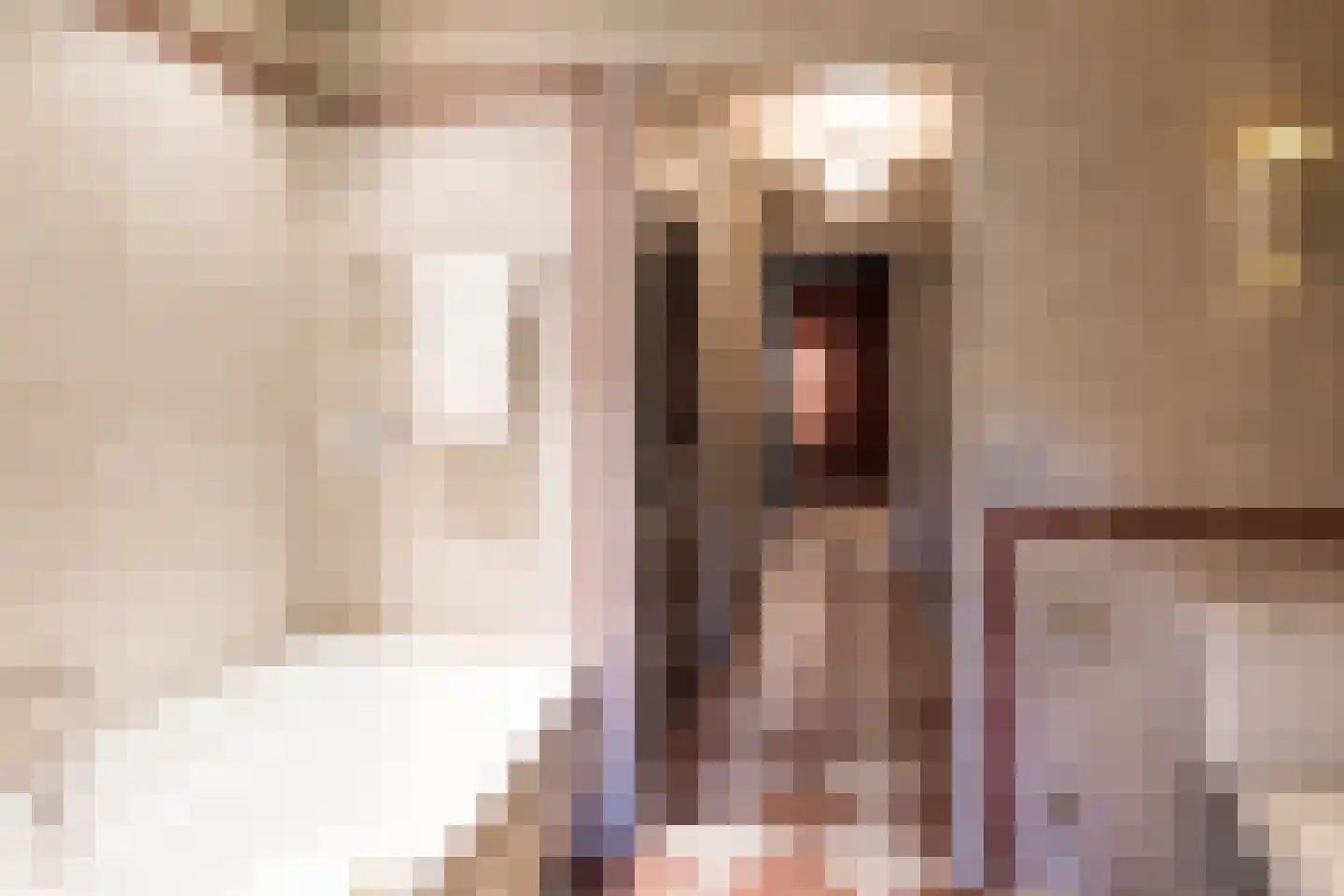 Schans 16 Arcen thumbnail 39