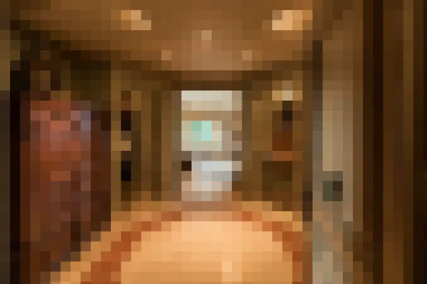 Schans 16 Arcen thumbnail 4