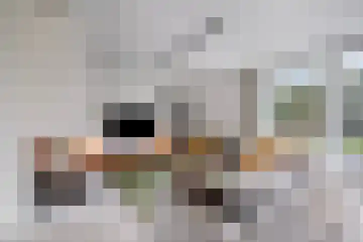 Schans 16 Hellevoetsluis thumbnail 10