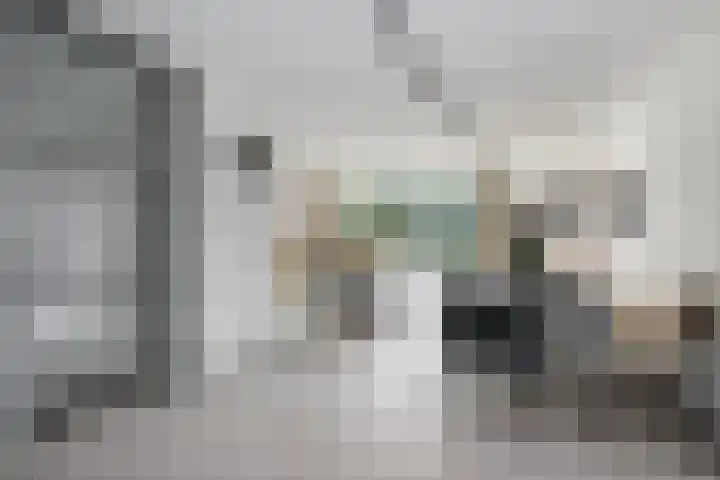 Schans 16 Hellevoetsluis thumbnail 8