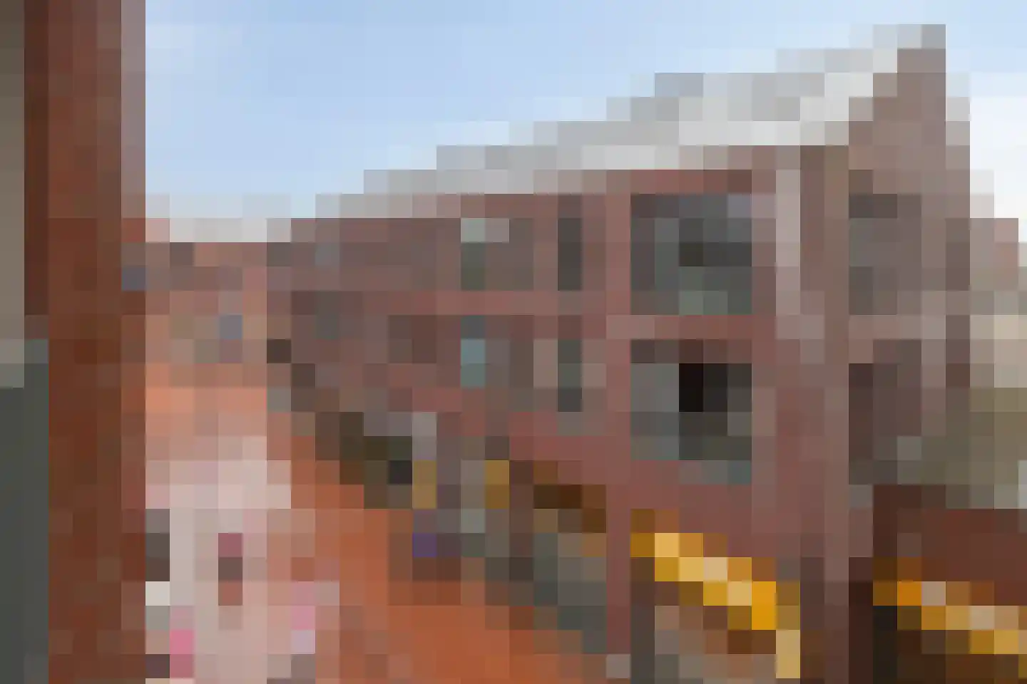 Schans 163 Dronten thumbnail 34