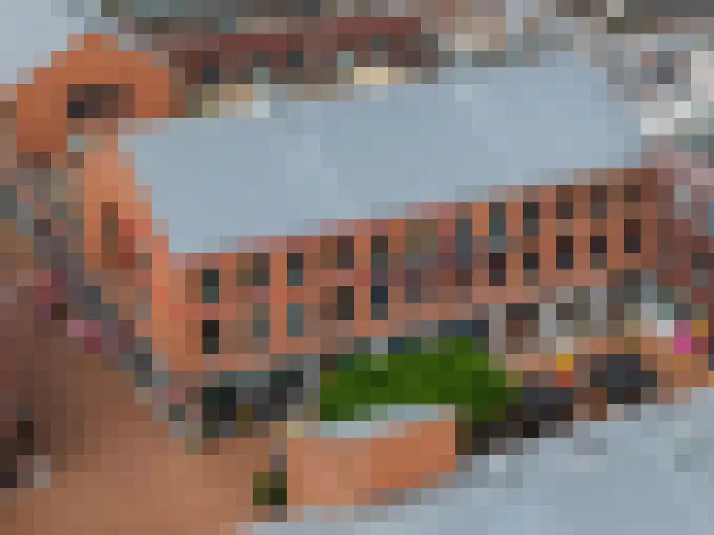 Schans 167 Dronten thumbnail 31