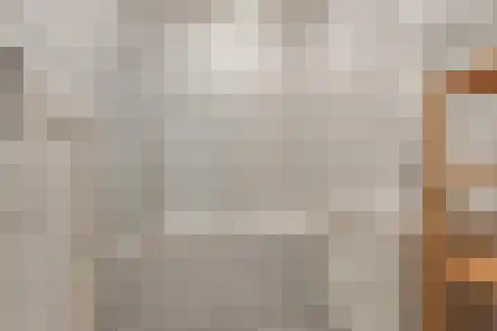 Schans 17 Eindhoven thumbnail 16