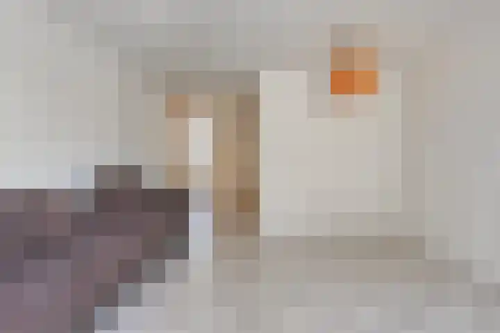 Schans 17 Eindhoven thumbnail 5