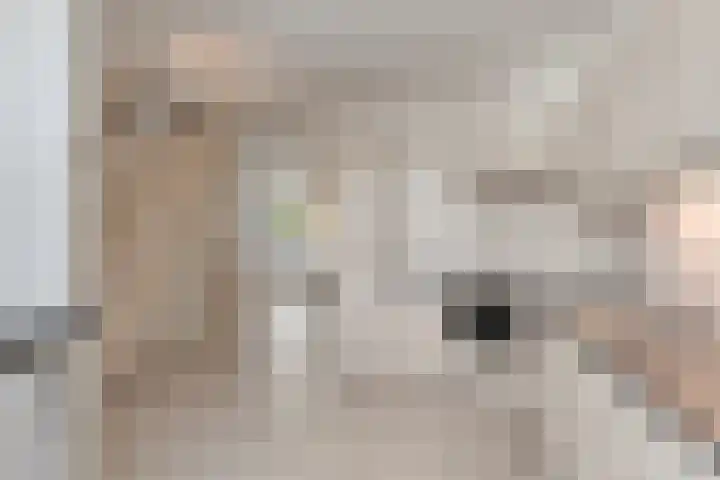Schans 17 Eindhoven thumbnail 8