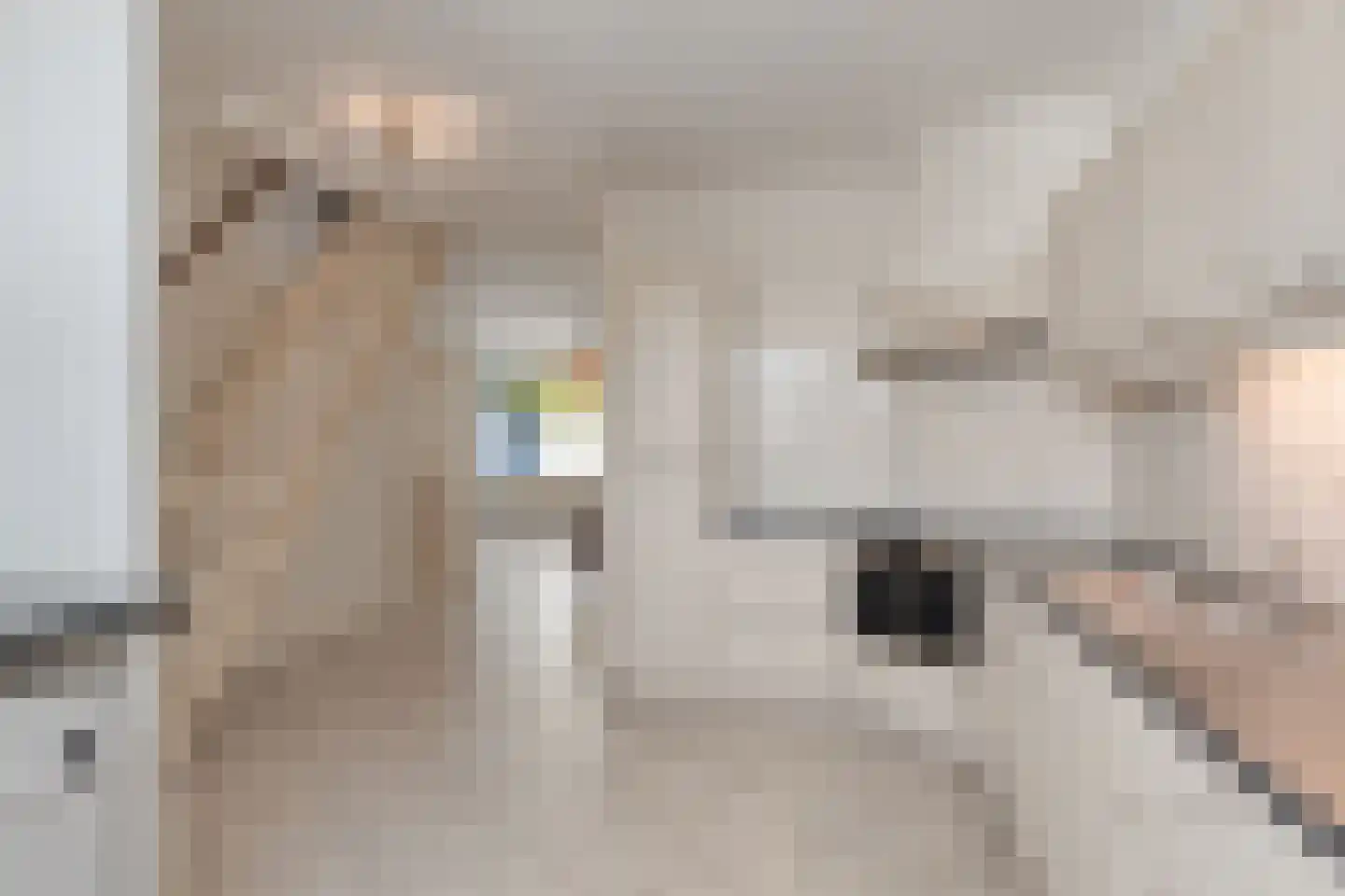 Schans 17 Eindhoven thumbnail 9
