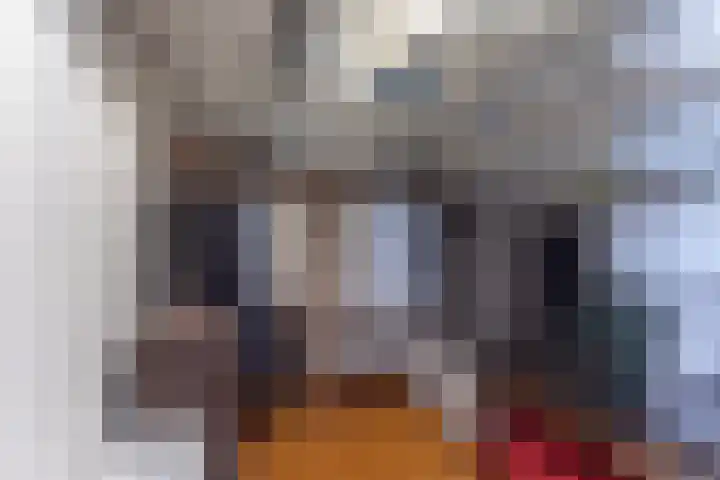 Schans 19 Eindhoven thumbnail 14
