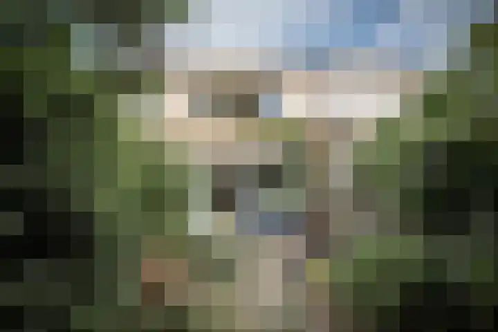 Schans 19 Eindhoven thumbnail 19