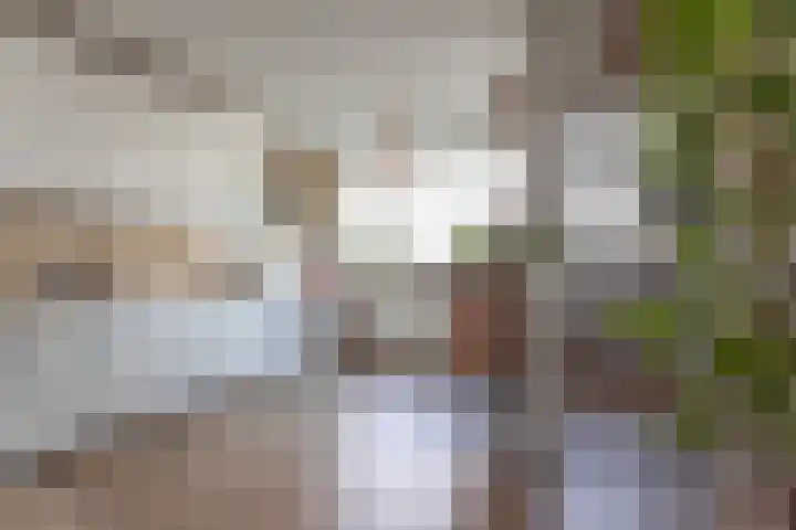 Schans 19 Eindhoven thumbnail 6