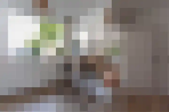 Schans 19 Eindhoven thumbnail 7