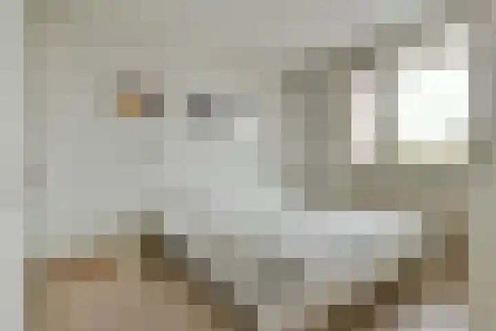 Schans 192 Uithoorn thumbnail 12