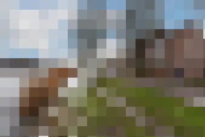 Schans 192 Uithoorn thumbnail 25