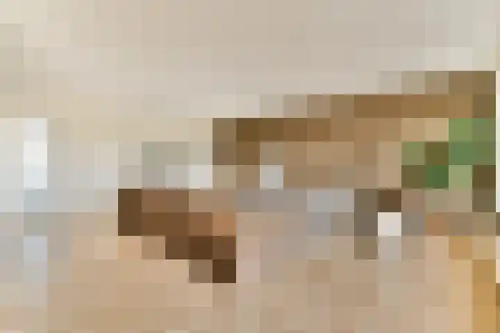 Schans 198 Uithoorn thumbnail 11