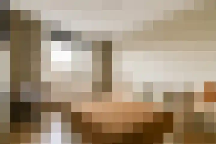 Schans 198 Uithoorn thumbnail 12