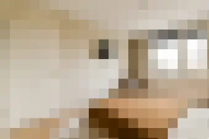 Schans 198 Uithoorn thumbnail 13