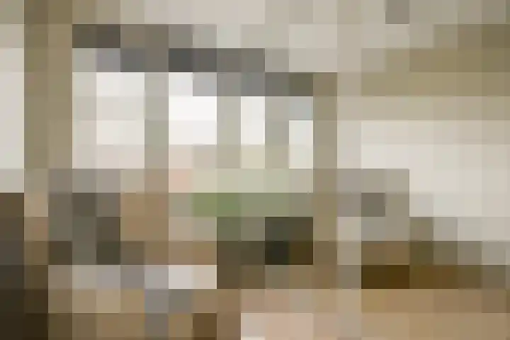 Schans 198 Uithoorn thumbnail 17