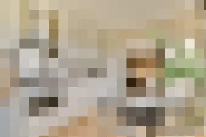 Schans 198 Uithoorn thumbnail 4