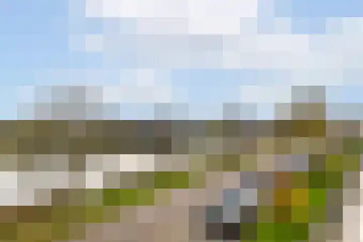 Schans 198 Uithoorn thumbnail 8