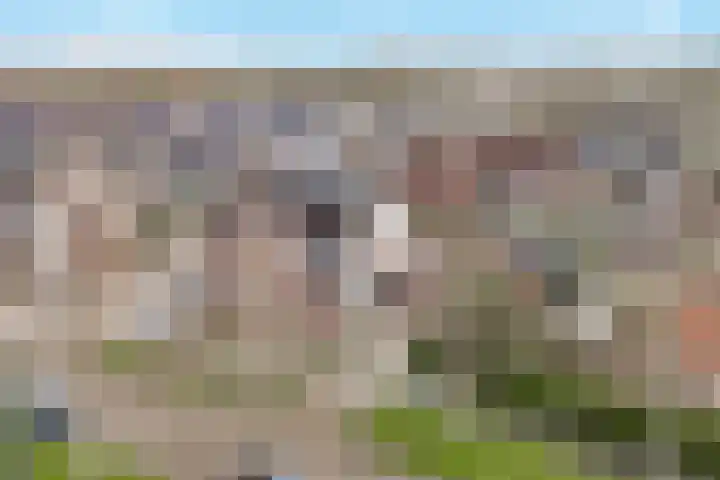 Schans 21 Enkhuizen thumbnail 14