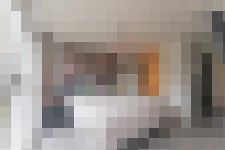 Schans 21 Enkhuizen thumbnail 25